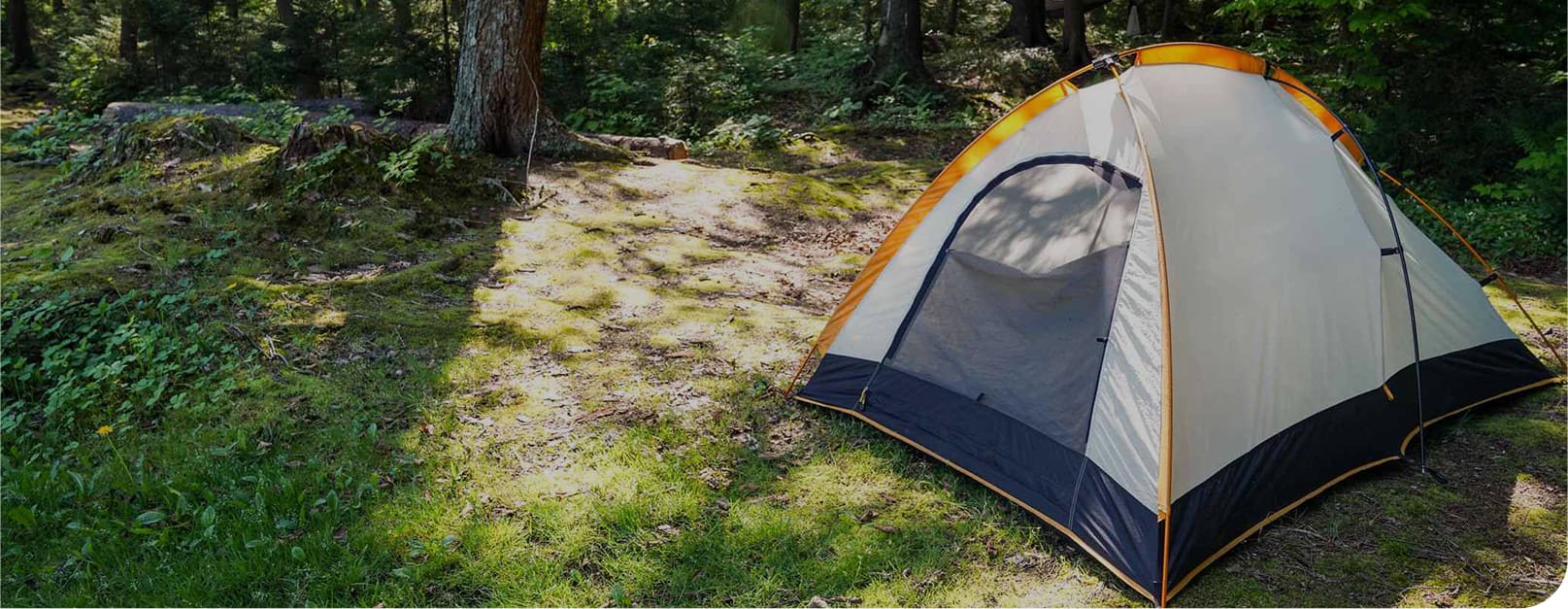 Carpa de campamento